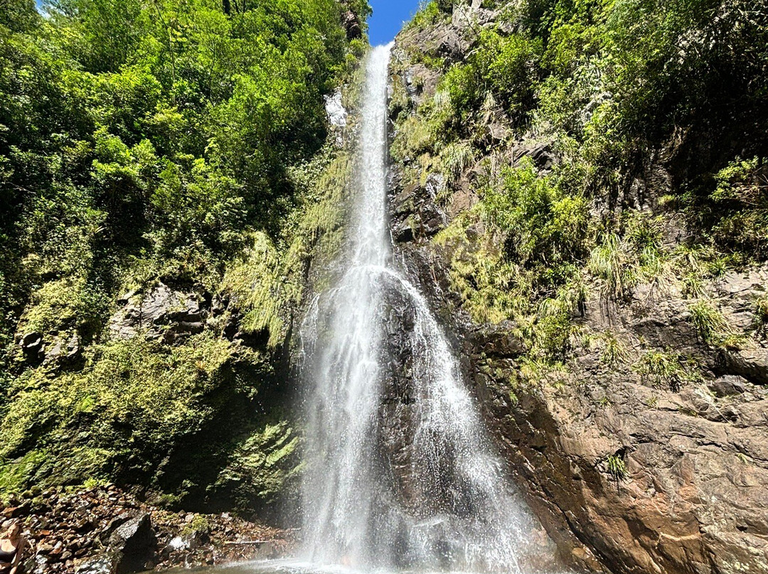 Trilha Do Rio Do Boi-Praia Grande必去景点