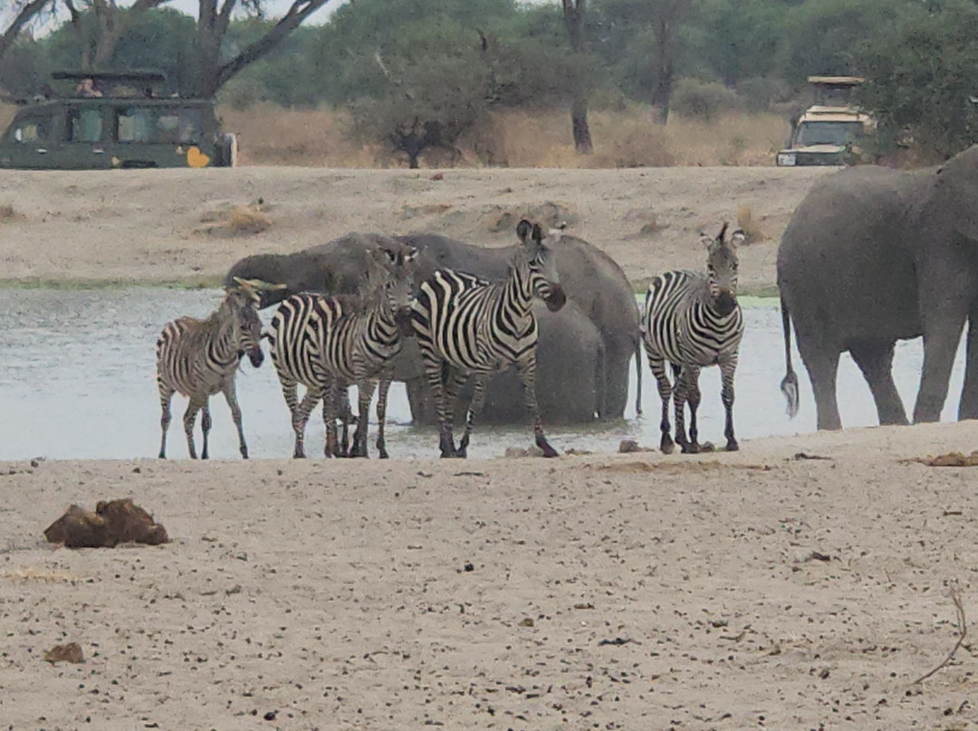 Mamnana Adventures-Olasiti必去景点