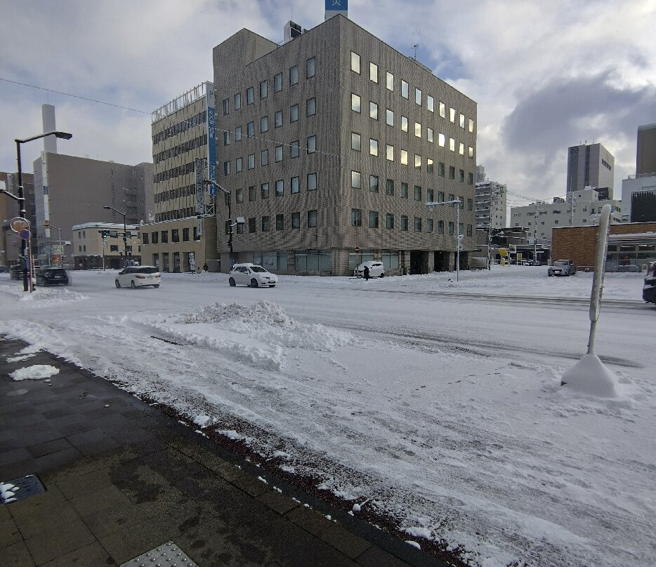 旭川多米酒店主图