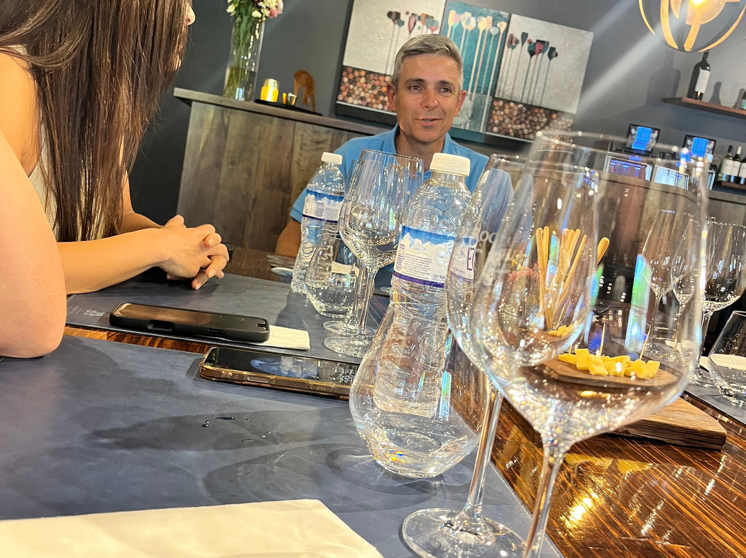 Bodega Alfredo Roca-圣拉斐尔必去景点