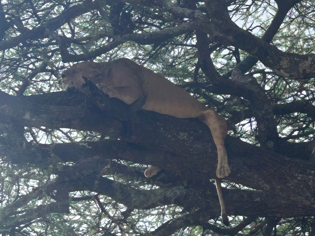 Waterbuck Safaris-Dar es Salaam必去景点