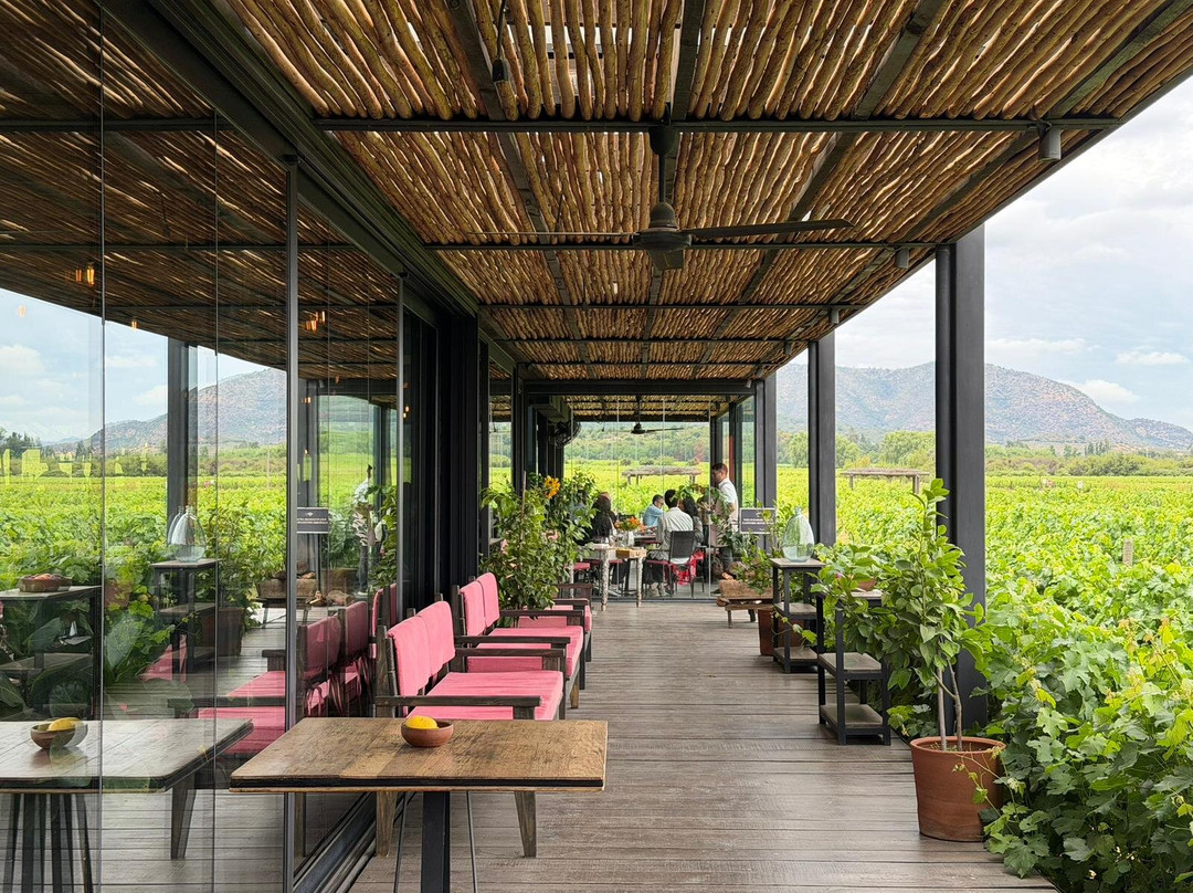 Colchagua Wine Tours-圣克鲁斯必去景点