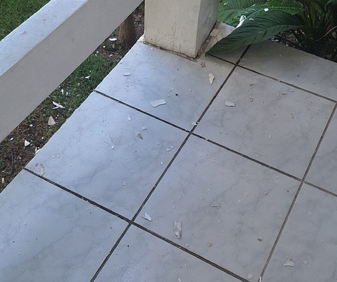 Sueds Segundo Sol主图