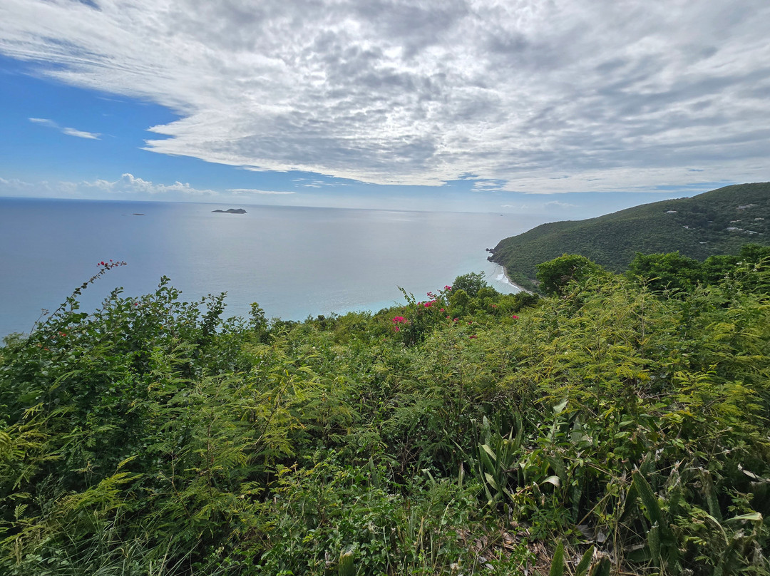 St.Thomas Scuba and Snorkel Adventures-圣 托马斯必去景点