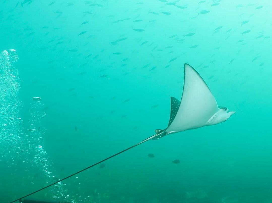 Dune Maldives-胡鲁马累必去景点