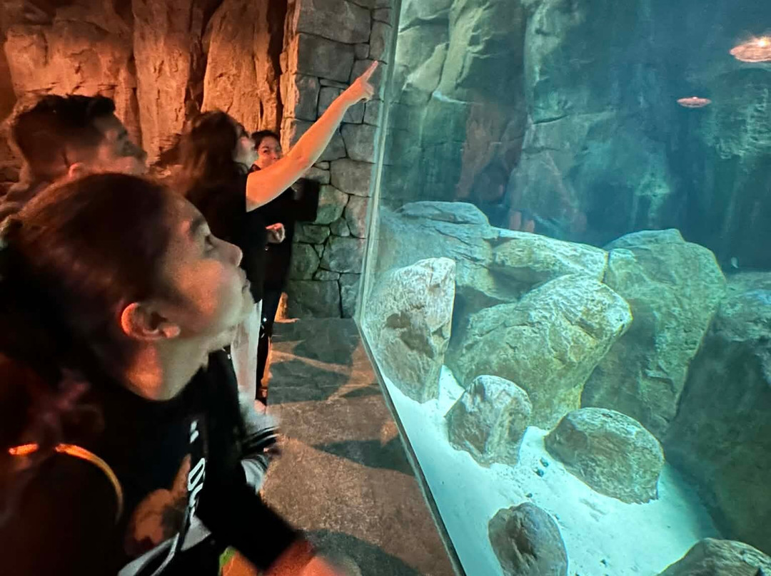 SeaWorld Yas Island Abu Dhabi-阿布扎比必去景点