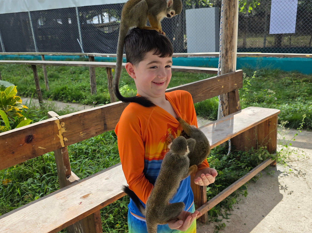 Monkey Home Puerto Plata-普拉塔港必去景点