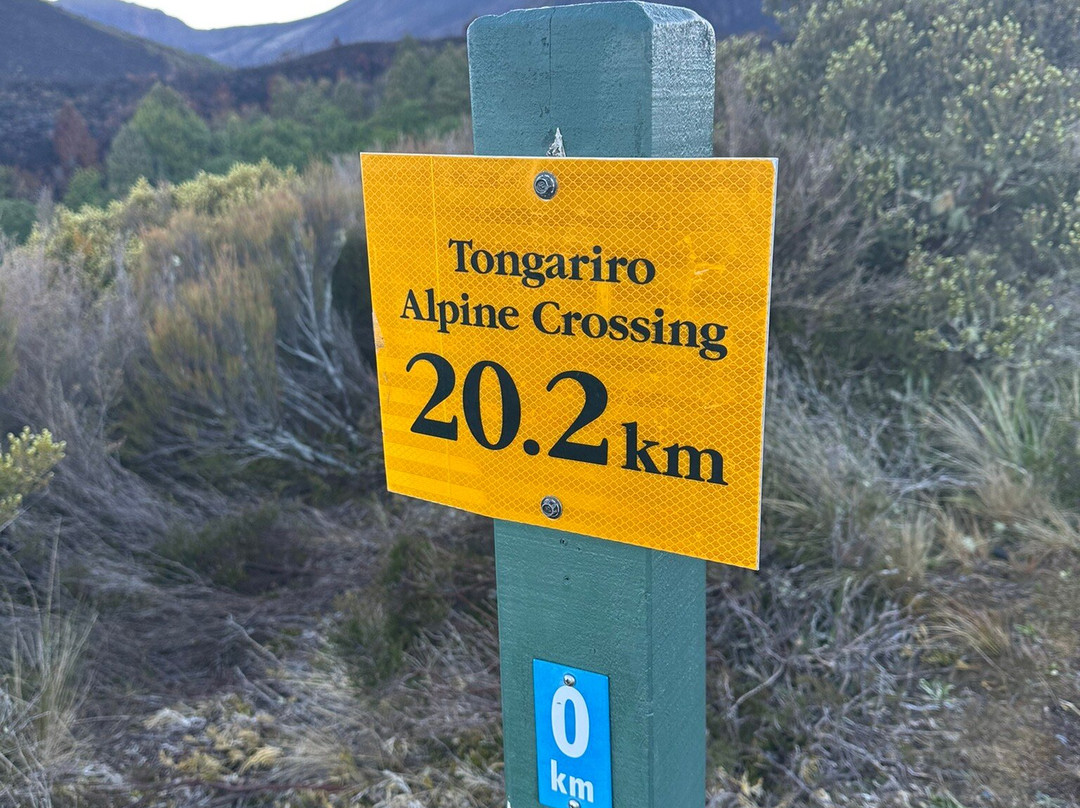 Summit Shuttles-汤加里罗国家公园必去景点