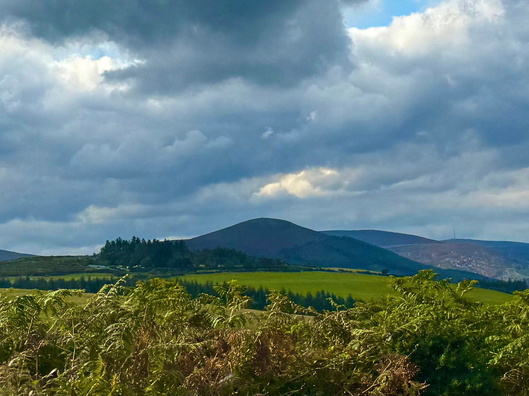 All Ireland Chauffeur Tours-沃特福德必去景点