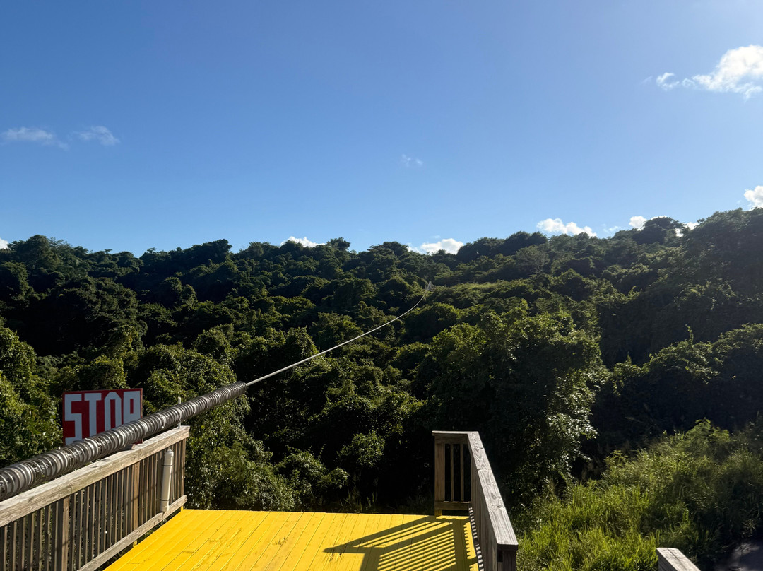 Carambola Zip Line-Frederiksted必去景点