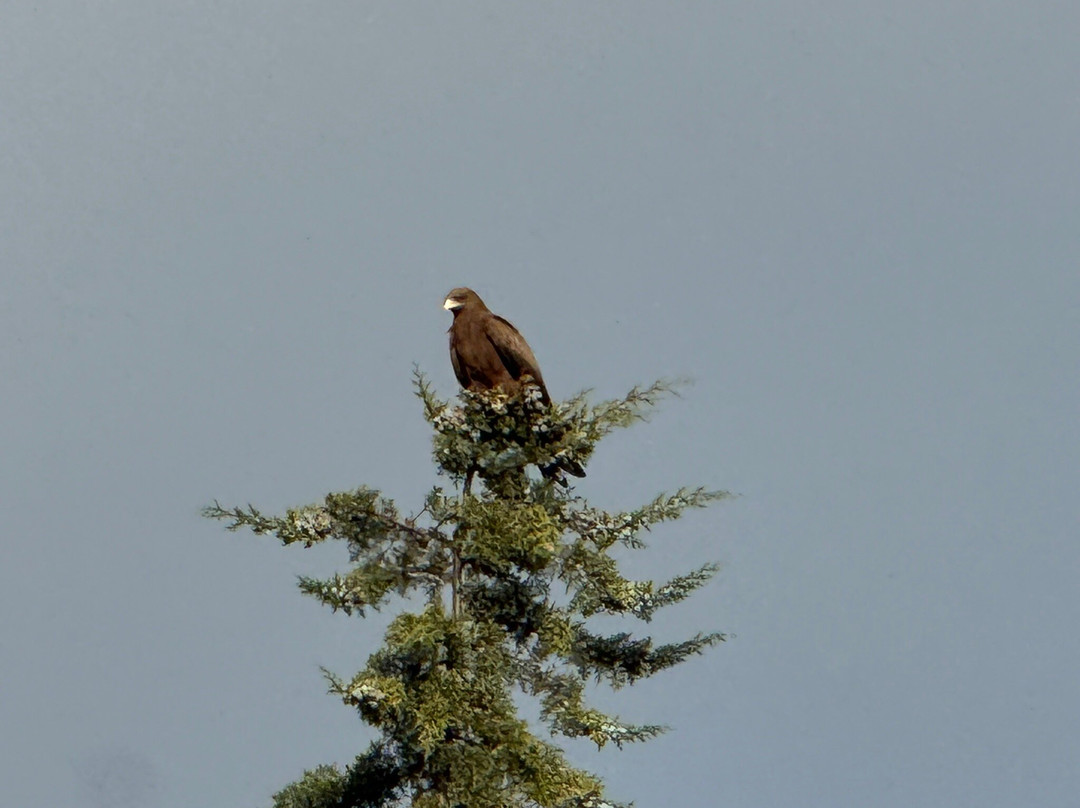 Sunshine Hotel主图