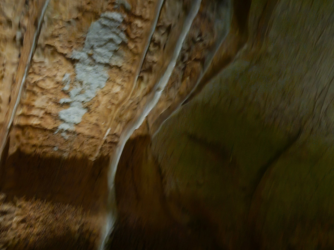 Melrose Caverns-哈里森堡必去景点