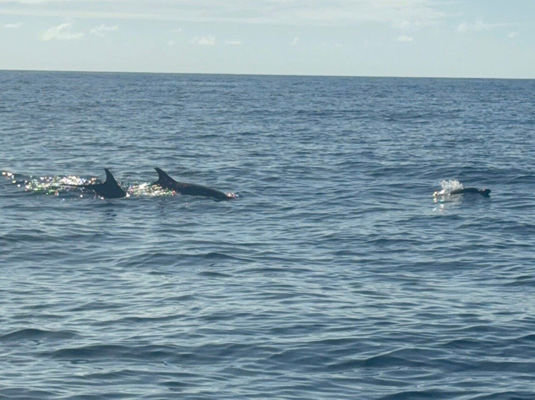 Panama Dive Center-Santa Catalina必去景点