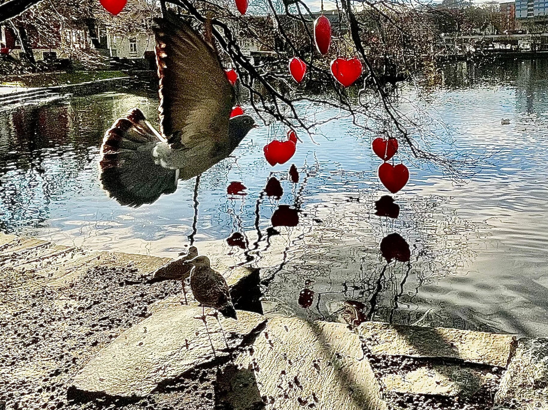 Breiavatnet-斯塔万格必去景点