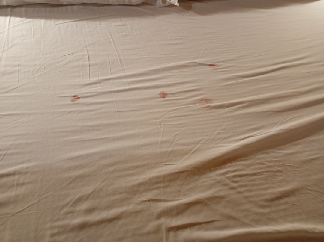 Adelfia酒店住宿-Albergo Valentino