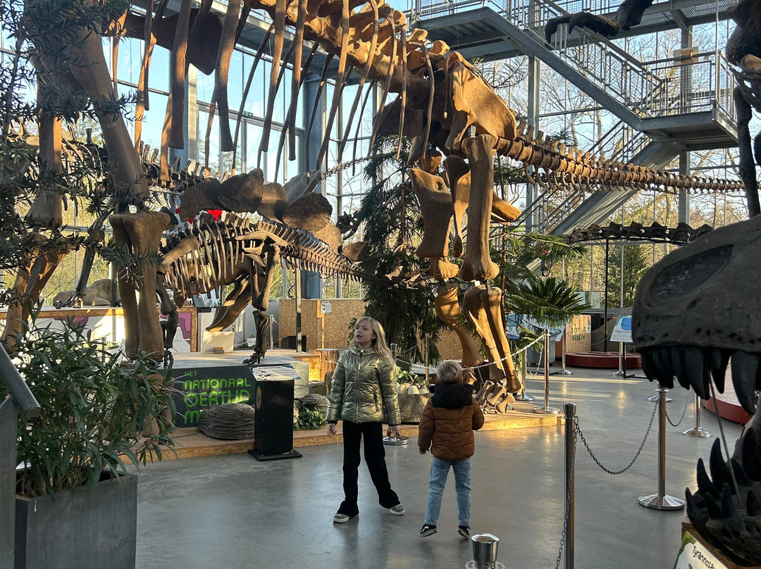 Het Oertijdmuseum-Boxtel必去景点