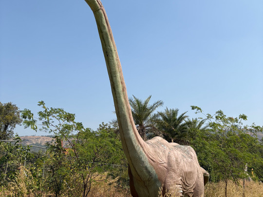 Dinosaurs Park-罗纳瓦拉必去景点