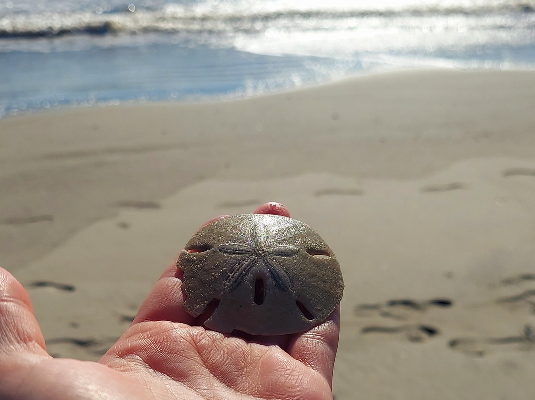 Bulls Island Ferry-Awendaw必去景点