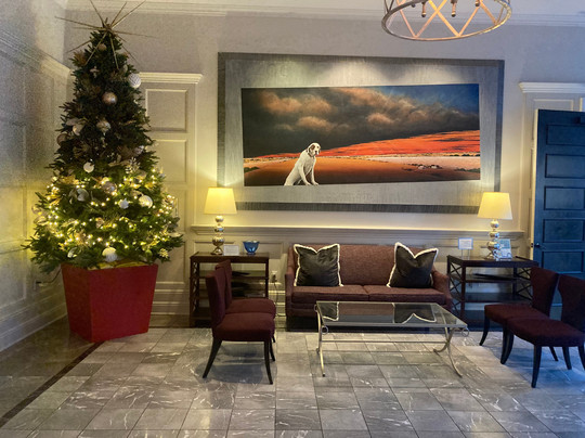 Alluvian Hotel主图