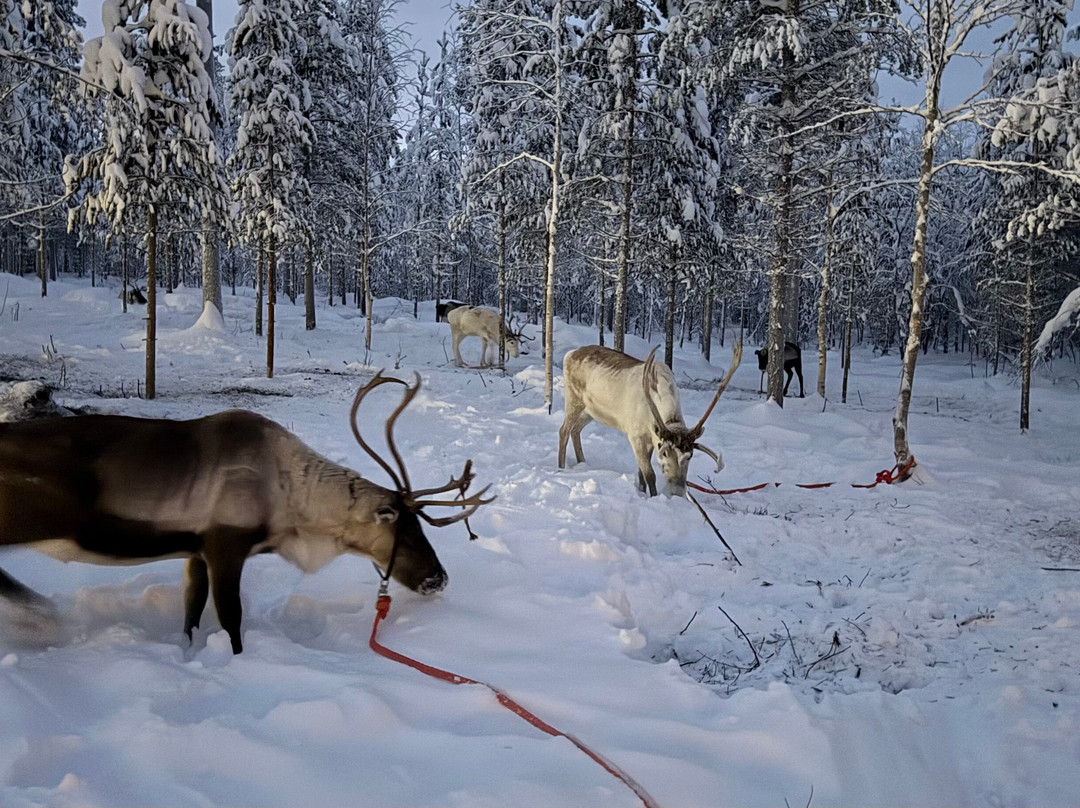 伊纳里远足之旅-伊纳里必去景点