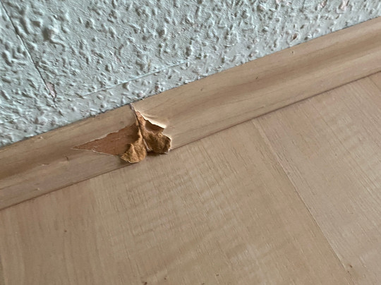 Brockenblick Ferienpark主图