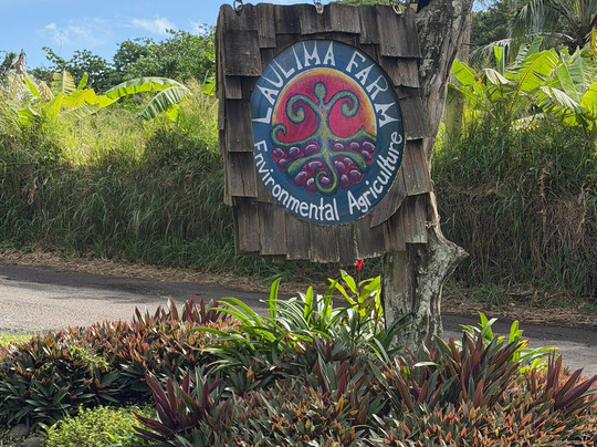 Holo Holo Maui Tours-卡胡卢伊必去景点