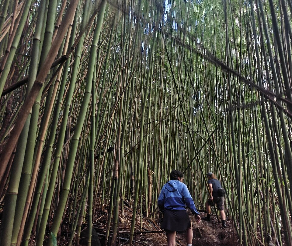 Hike Kauai With Me-普林斯维尔必去景点