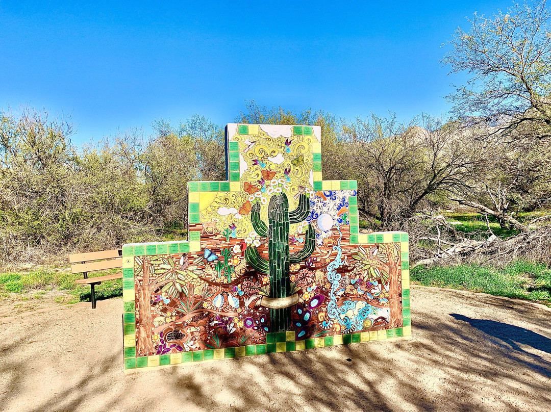 Catalina State Park-图森必去景点