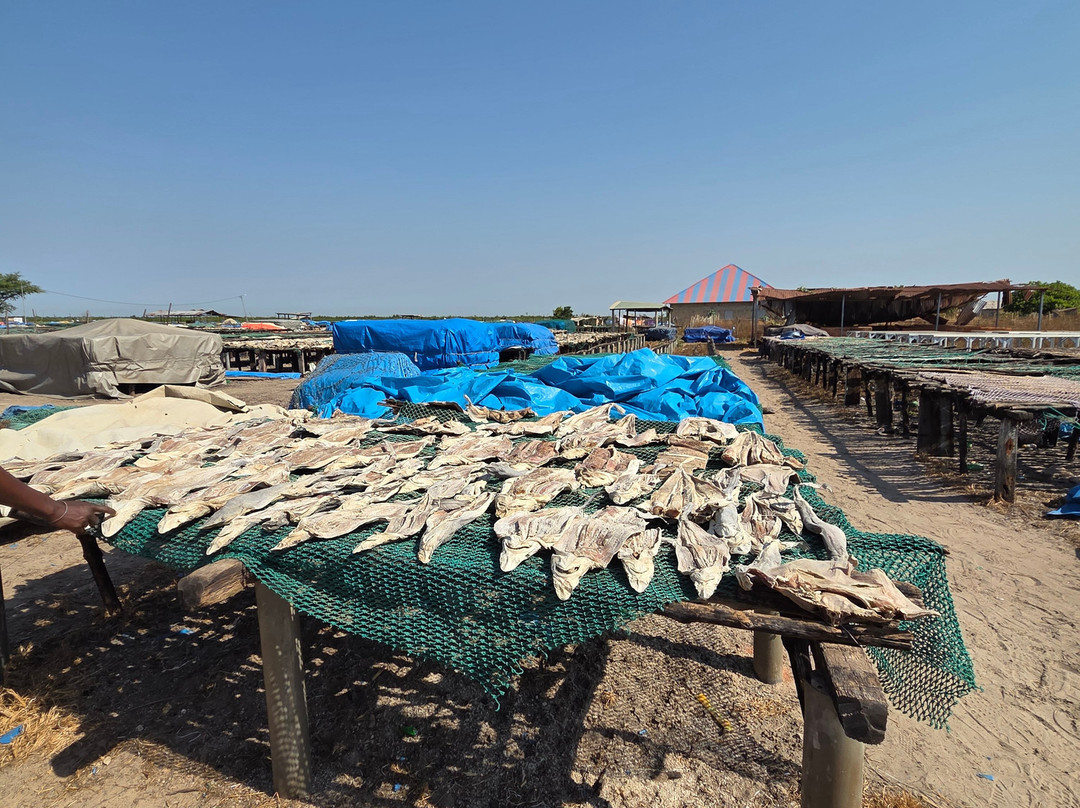 Soumare Tour-开普史基林必去景点