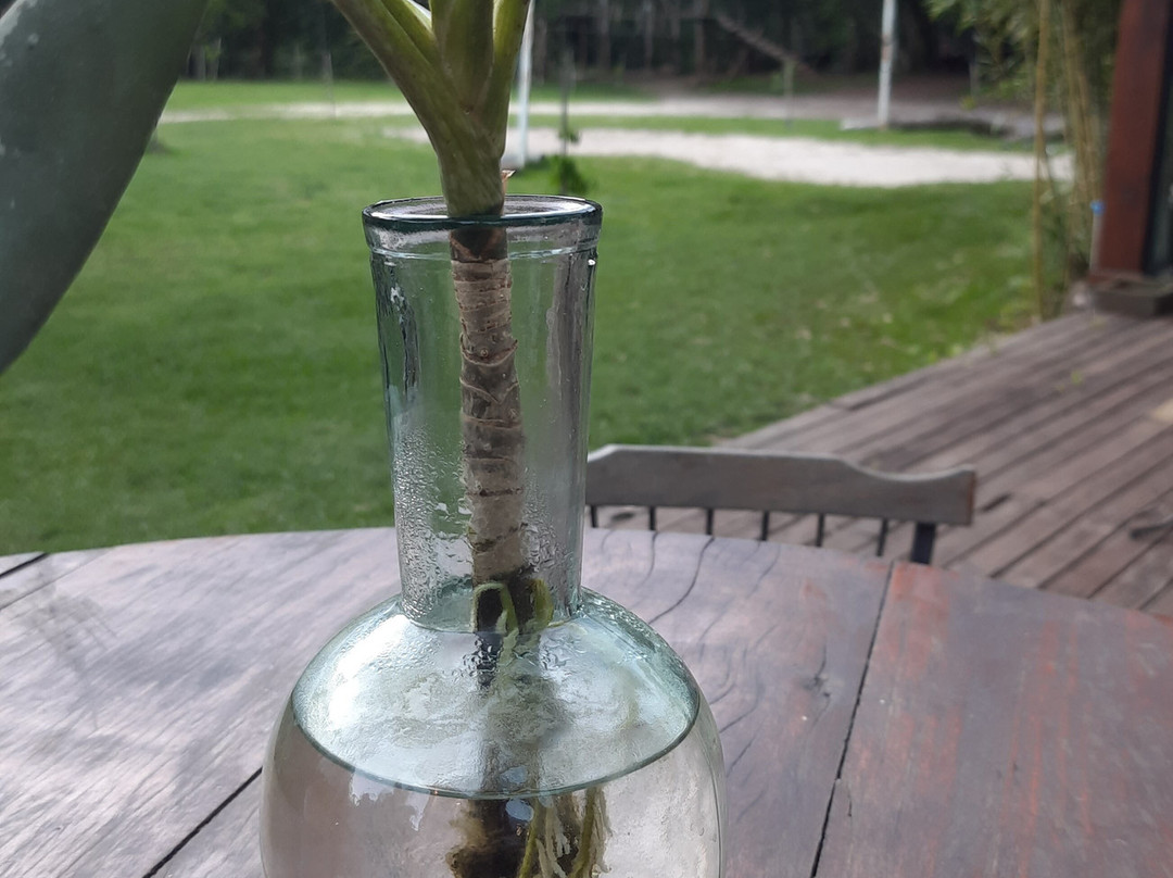 Raft Adventure Park-Tres Coroas必去景点