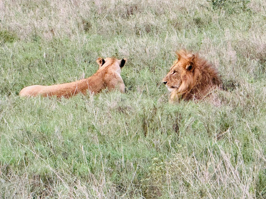 Kenya Dream-瓦塔木必去景点