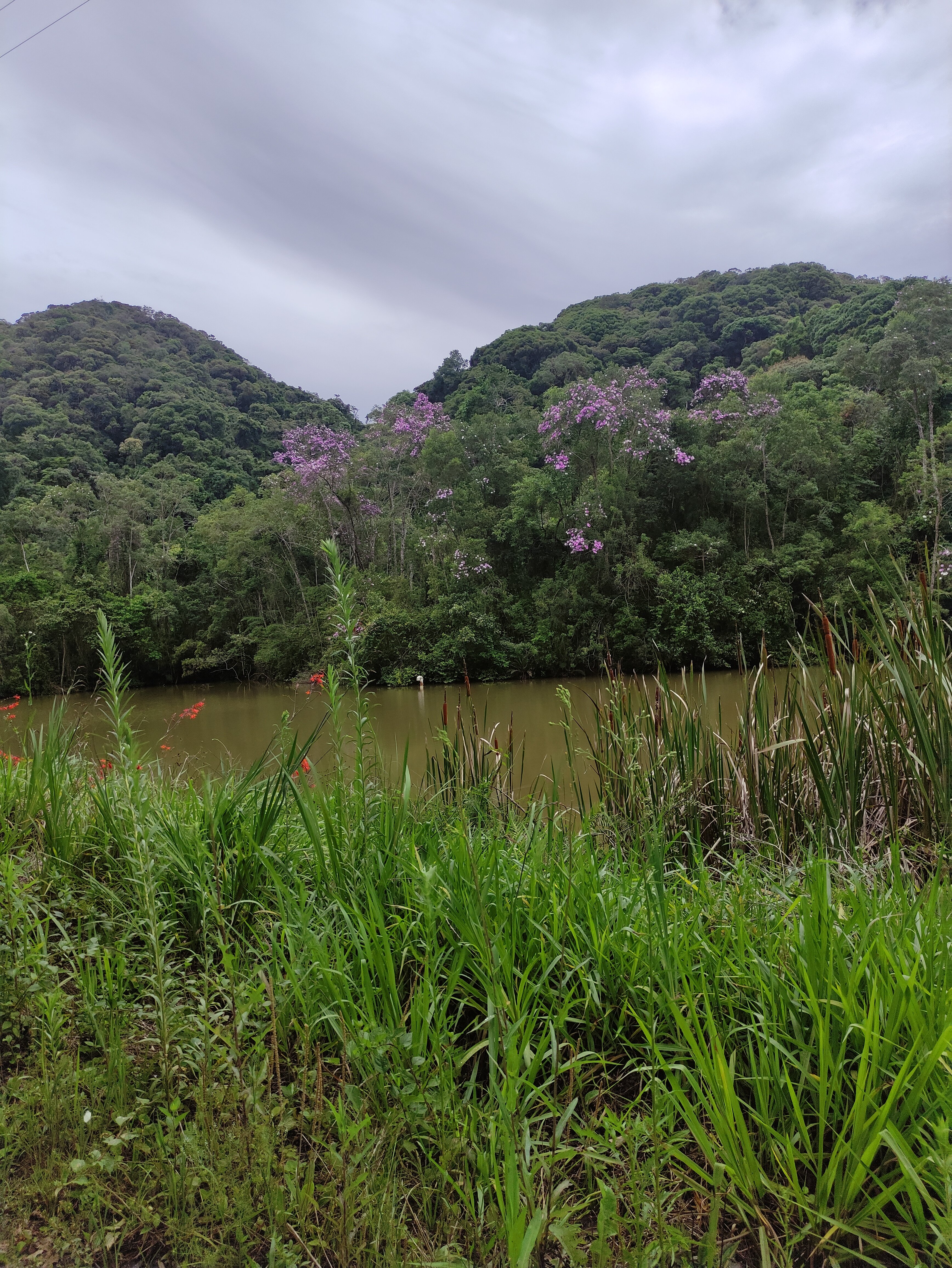 Paraiso Eco Lodge-官方
