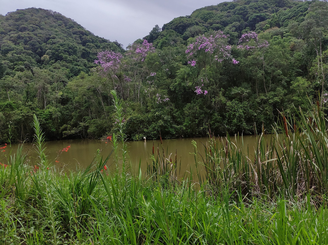 Paraiso Eco Lodge主图