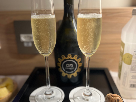 Rio Hotel By Bourbon Campinas主图