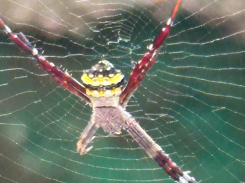 Wildnest Travel & Photography-孟买必去景点