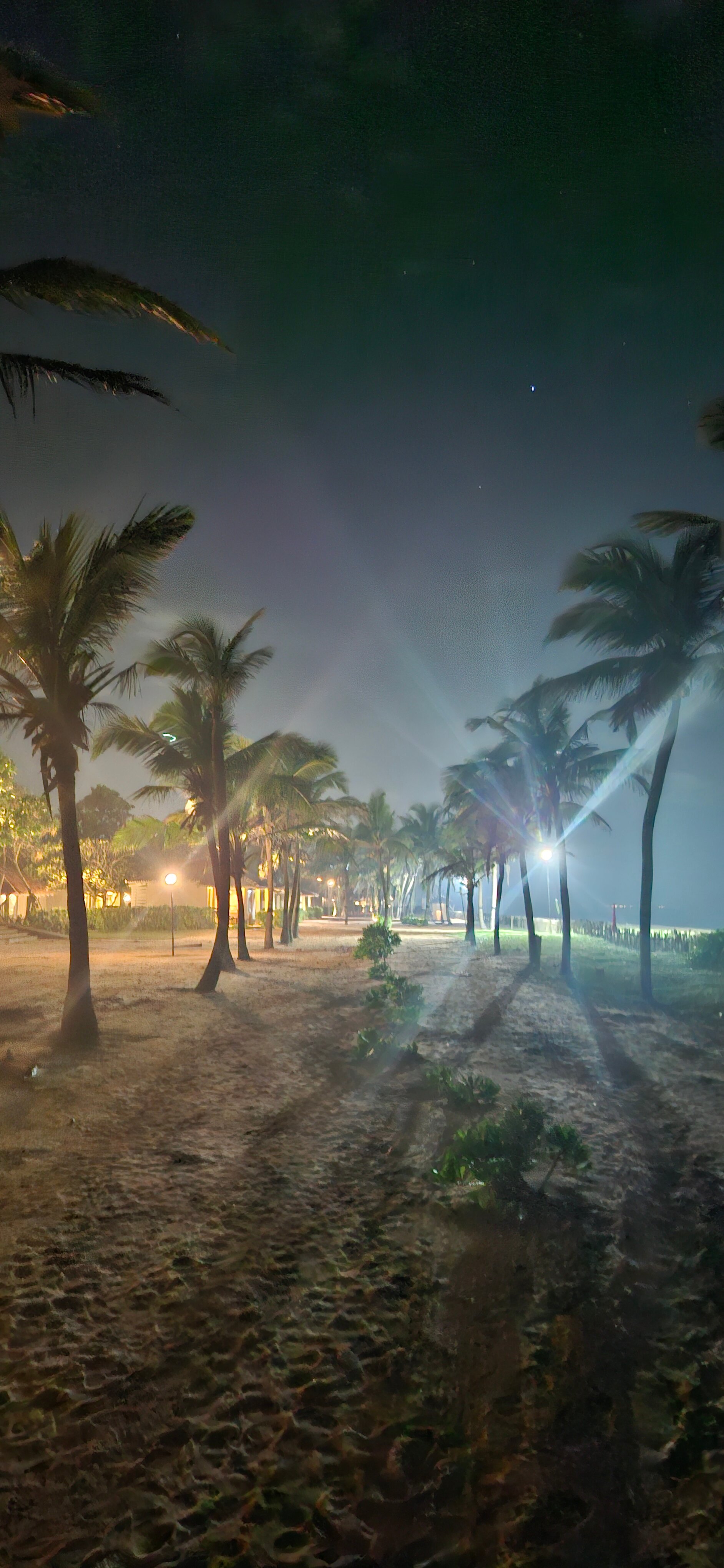 海豚俱乐部饭店-泳池
