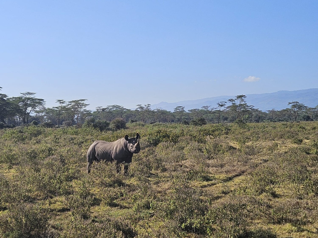 Native Afrika Voyages-内罗毕必去景点