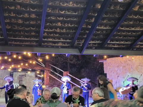 Nexus Tours Mexico-瓦拉塔港必去景点