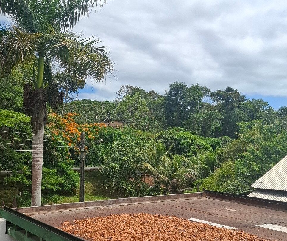 Fazenda Yrere-Ilheus必去景点