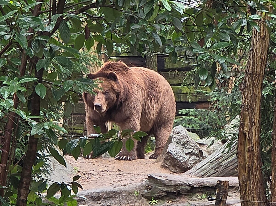 Zoo de La Fleche-La Fleche必去景点
