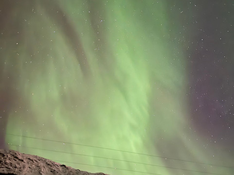 Steam Tours-特罗姆瑟必去景点