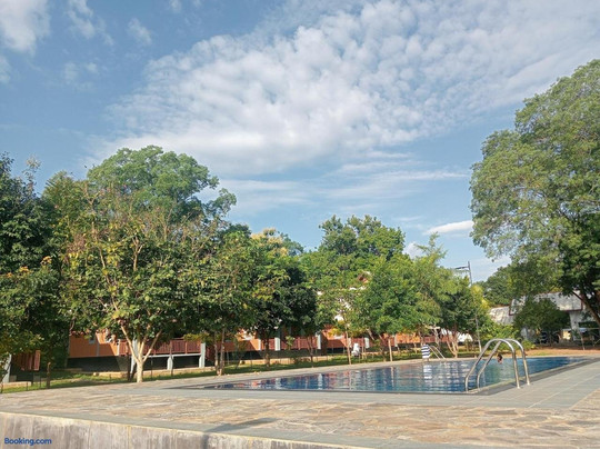 Seeing Green Udawalawa