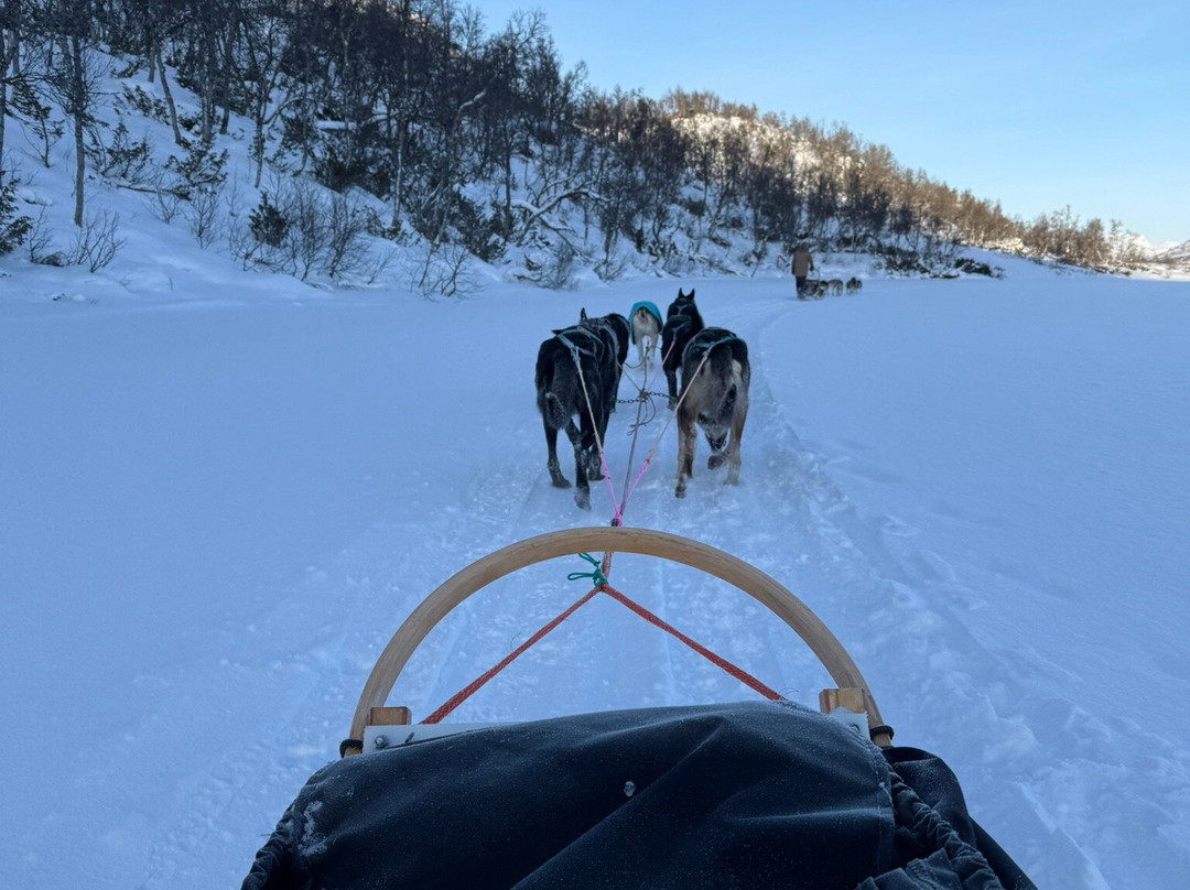 Haukeli Husky-Rauland必去景点