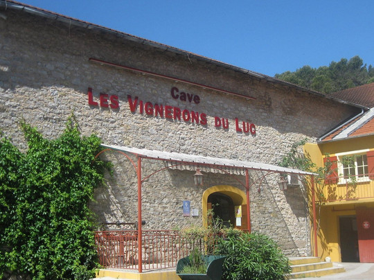 Cave Vignerons du Luc-Le Luc必去景点