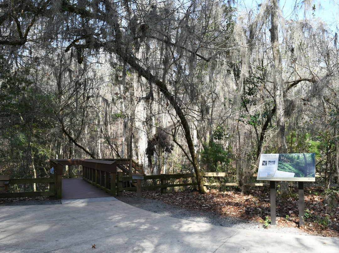 Devil's Millhopper Geological State Park-盖恩斯维尔必去景点