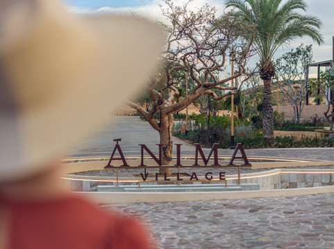 Ánima Village-卡波圣卢卡斯必去景点