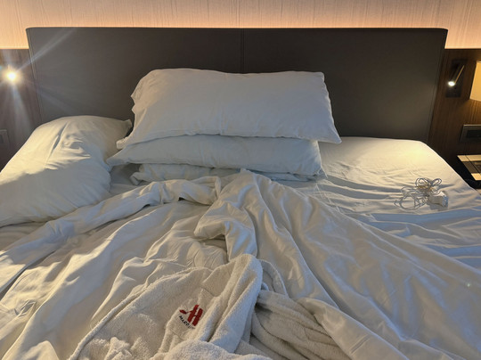 大都市酒店主图