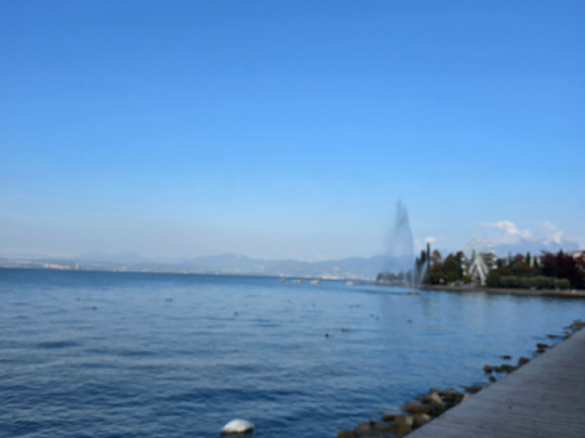 Lungolago di Bardolino-巴尔多利诺必去景点