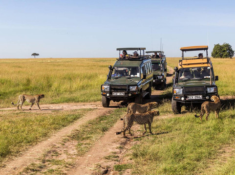 Kenya Wild Parks-内罗毕必去景点