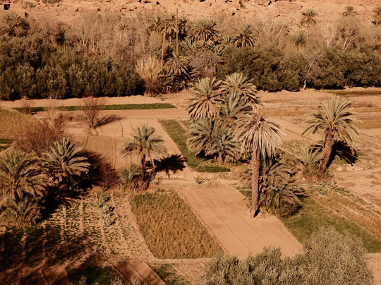 Top Dessert Tours-马拉喀什必去景点